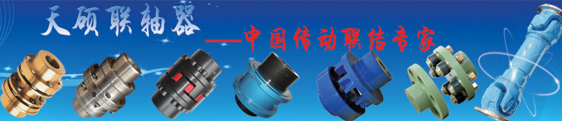  CL型齒式聯(lián)軸器